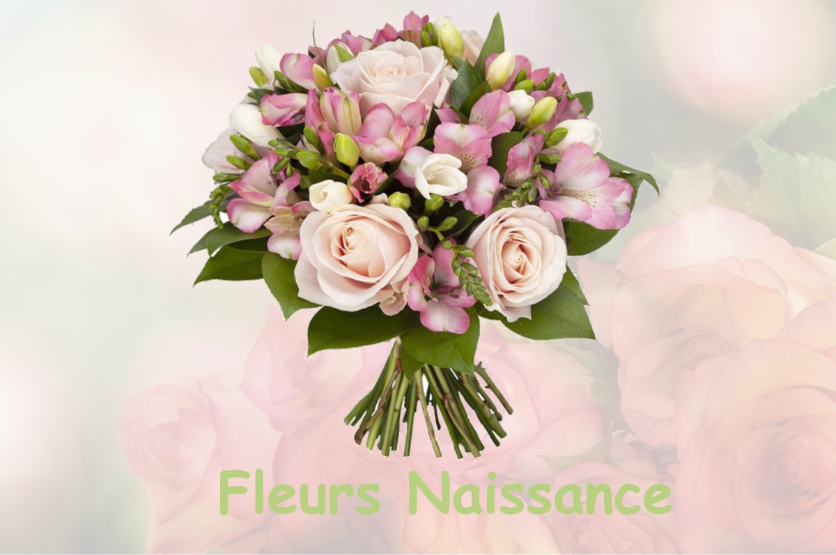 fleurs naissance SALONNES