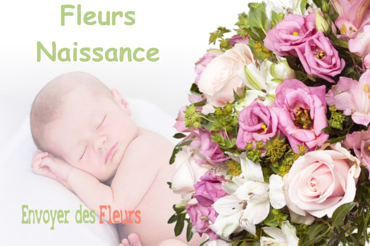 lIVRAISON FLEURS NAISSANCE à SALONNES